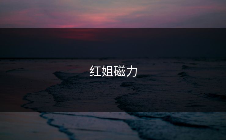 红姐磁力
