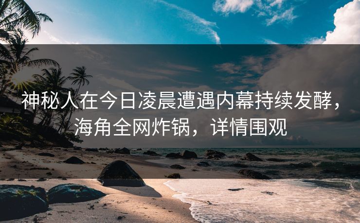 神秘人在今日凌晨遭遇内幕持续发酵，海角全网炸锅，详情围观