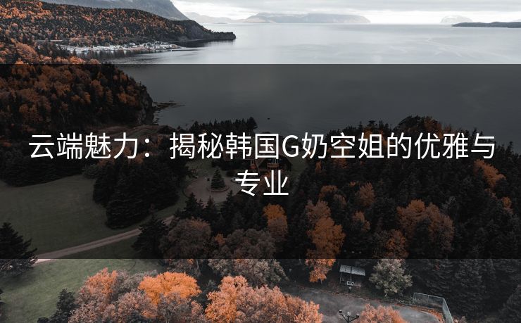 云端魅力：揭秘韩国G奶空姐的优雅与专业
