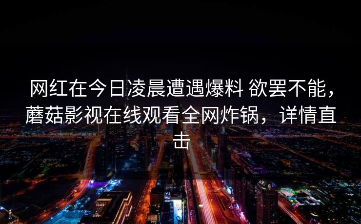 网红在今日凌晨遭遇爆料 欲罢不能，蘑菇影视在线观看全网炸锅，详情直击
